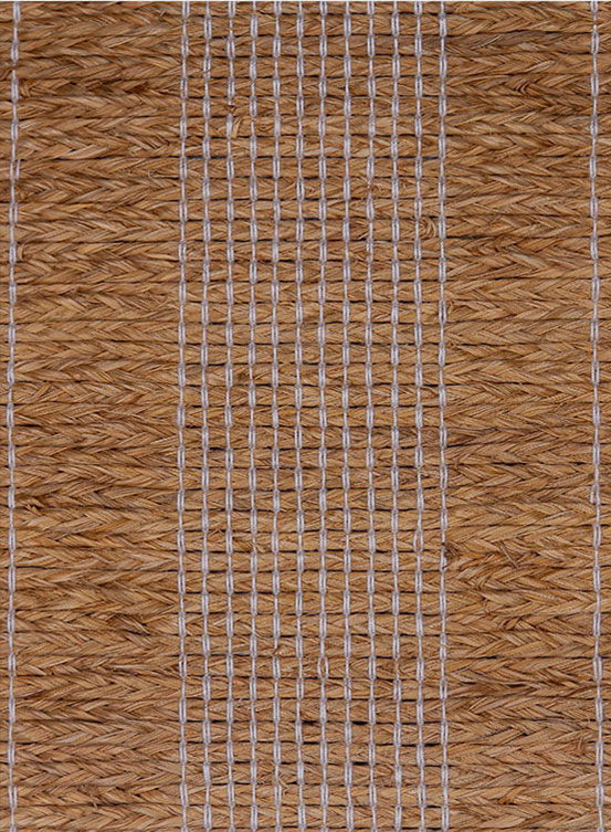 Window Shades